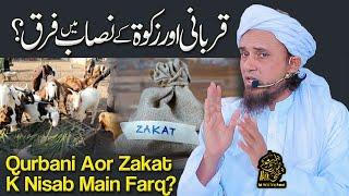 Qurbani Aor Zakat K Nisab Main Farq | Ask Mufti Tariq Masood