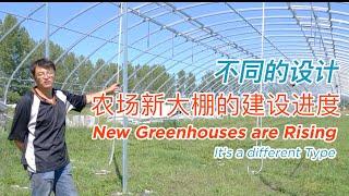 New Greenhouses are rising on my farm