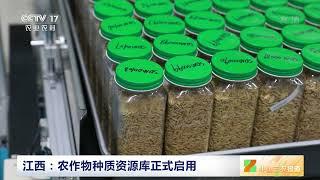 [中国三农报道]江西：农作物种质资源库正式启用|农业致富经 Agriculture And Farming