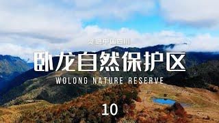 卧龙自然保护区（Wolong Nature Reserve）