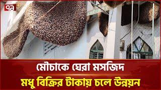 মৌচাক আর মৌমাছি ঘিরে রেখেছে যে মসজিদ | Bee Mosque | Ekattor TV