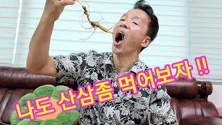 산삼.산양삼 복용법