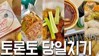  토론토 당일치기 여행 필수 코스. 맛집 추천. 나이아가라폭포 면세점 꿀팁 | 캐나다 vlog