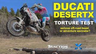 Ducati DesertX review torture test: adventure wannabe or serious contender?︱Cross Training Adventure