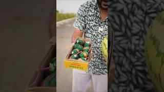 Never try this with Watermelon #yashkeexperimentshorts