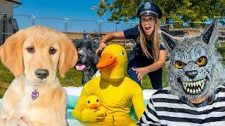 Police Saves Puppy from Rubber Ducky and Wolf in Car Ride Chase!