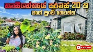 නවසීලන්තයේ මගේ පුංචි ගෙවත්ත | My Home Garden Tour In NewZealand  | Vlog 25