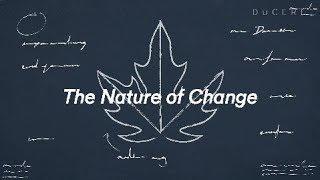 Tony Grundy's Nature of Change - Visualising the abstract