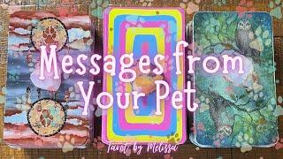 Pick-a-Card: Messages from Your Pet 