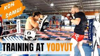 Training at Yodyut Muay Thai with Kru Lom.