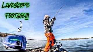 These BIG FISH Are So AGGRESSIVE!!! || Gaston Lake Bass Fishing