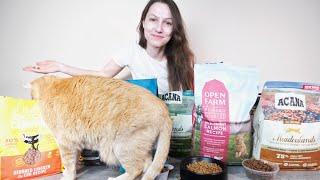 The Top 7 Best Dry Cat Foods of 2022 (We Tested Them All)