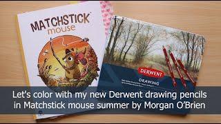 Coloring with Derwent drawing pencils | Matchstick Mouse summer | jungle raft | new art supplies