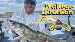 Directional Walleye