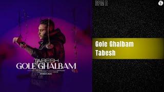 Tabesh - Gole Ghalbam | تابش - گل قلبم