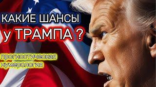 Какие перспективы у Трампа на выборах в США ?