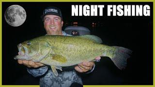 Night Fishing for Bass Tips: How to catch BIG Bass at Night 2024