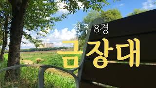 강은 핑계다 ㅣ EP.06 금장대 이야기 (The story of the Geumjangdae)