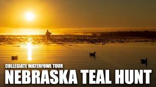 TEAL HUNTING in Nebraska Public Marsh - Duck Hunting 2020