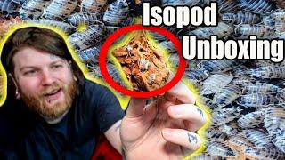 Unboxing Hundreds Of Isopods & Showing You All The Isopods We Have! [Full Isopod Tour]