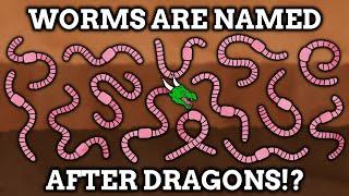 Animals Named After Mythical Creatures