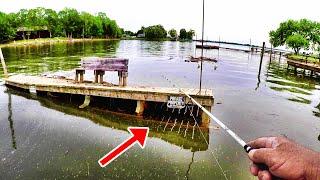 BIG FISH DESTROYS LURE UNDER FLOODED DOCK!!! (WHAT HAVE I HOOKED!?!)