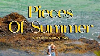 Pieces of Summer ; 세로 영상 모음집