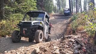 Blacktail Wild Bill OHV Trail Flathead National Forest Montana