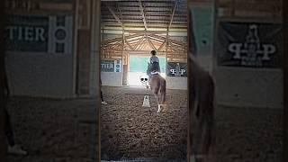 She’s such an awesome pony  #horse #viral #equestrian #trend #fyp #shorts #shortsviral #yt