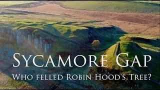 Sycamore Gap: Who Felled Robin Hood's Tree?