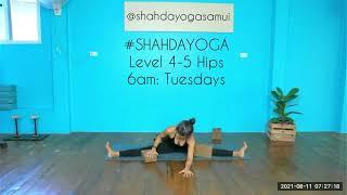 Yoga Class for Hips with Intermediate Level Splits #shahdayoga #yogasamui #yogaclass