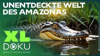 Geheimnisse im Amazonas Regenwald - Expedition am Essequibo | XL Doku Deutschland