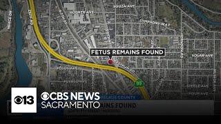 Authorities confirm 19-weeks-old fetus remains found in Modesto dumpster