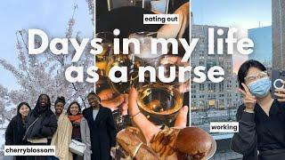 Days in my life as a nurse ‍️ | Nursing School Friends, Cherry Blossom in Toronto,  Going to Work