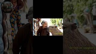Capybara mua vé số  #capybara #haihuoc #funny