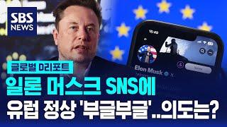 '일론 머스크 SNS'에 유럽 정상 '부글부글'…의도는? / SBS / #D리포트