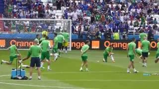 James McClean ● Daryl Murphy ● James McCarty ● France vs Eire ● 1/8 Final Euro 2016