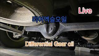 LIVE Hungry DiY, 그랜드스타렉스 데후오일 리어디퍼런셜오일