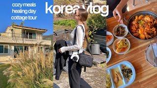 fall trip in korea 2023  cozy meals, healing cafes + cottage tour