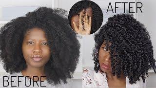 CAN YOUR TYPE 4 HAIR CURL LIKE THIS ON DRY HAIR? ft. Qhemet Biologics