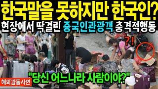 [해외감동사연]"한국인 아니죠? 한국말 해보세요" 한국인인척하다가 딱걸린 중국인에 충격 당신 어느나라 사람이야?