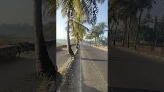 Peaceful Morning at Saligoa - Goa | 2023 | #shorts