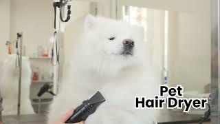 ABK Grooming I Pet Grooming And Veterinary Equipments