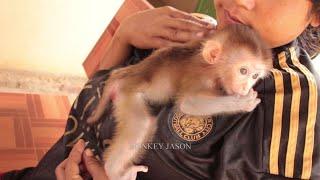 Great Emotional Love, Mom Gently Hugging & Kissing Tiny Baby Monkey Jason After Morning Bath