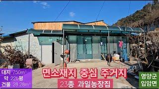 급매 과일농장 시골집 (124) 9천만원 ( 대지 750m² + 건물 28.28m² ) 경북 영양군 입암면 신구리 23종과일농장 시골집 010-4949-0049 안동역부동산