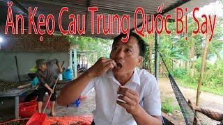 ăn kẹo cau trung quốc bị say bà con ơi.