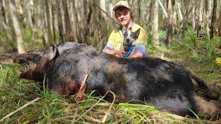 Hunting Cane Boars with the James Brothers!! Biggest Boar This Year!!