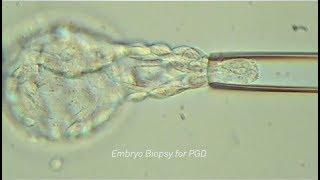 The Fertility Lab at Northwell Health Fertility