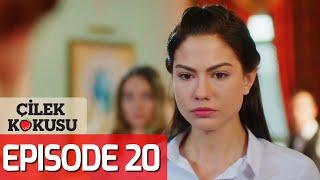 Strawberry Smell - Full Episode 20 (English Subtitles) | Cilek Kokusu