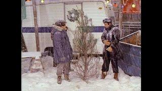 Perfect Strangers - "Larry & Balki Buy a Christmas Tree on Christmas Eve" - 1986